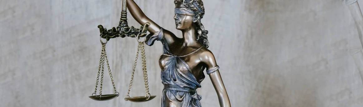 Gerechtelijke procedures - welke rechter kunt u om een oordeel vragen?